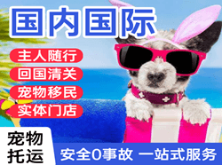 萧山空运地址国际宠物托运 【国